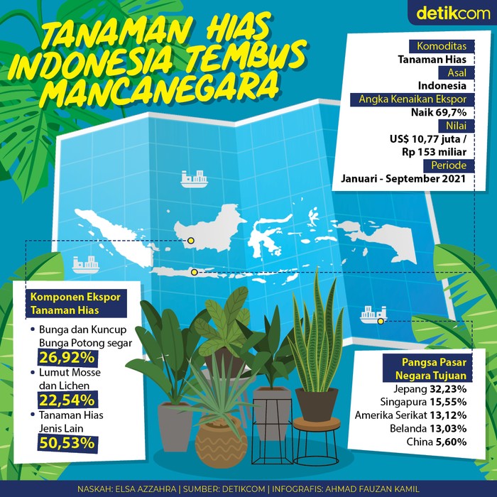 Tanaman Hias