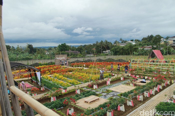 Tapos Garden Coffee and Eatery