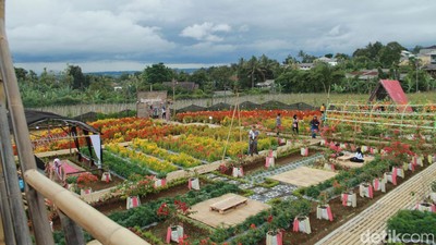 Potret Tapos Garden, Kafe Asyik di Tengah Taman Bunga yang Cantik