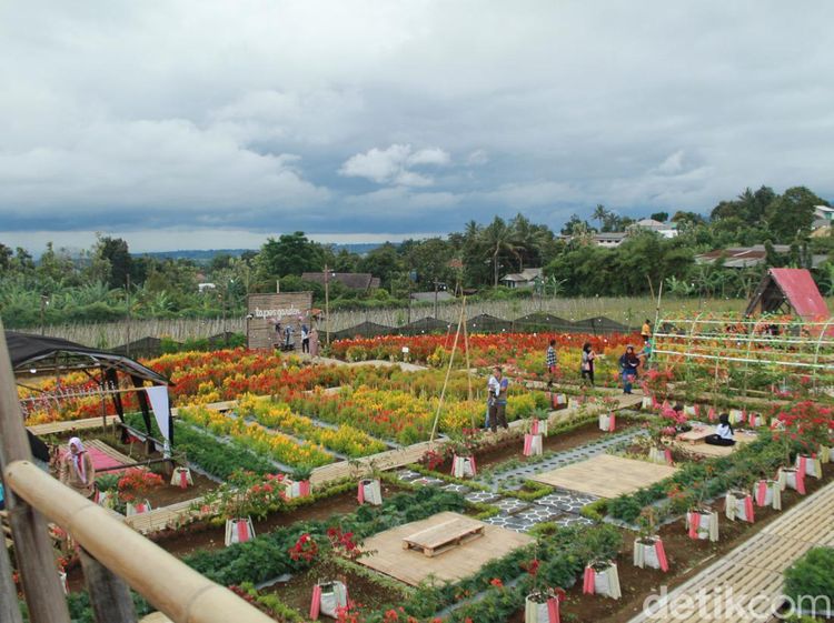 Potret Tapos Garden, Kafe Asyik di Tengah Taman Bunga yang Cantik