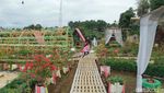 Potret Tapos Garden, Kafe Asyik di Tengah Taman Bunga yang Cantik