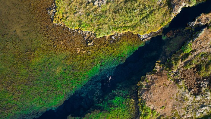 Silfra fissure crack between two continents in Iceland, Green algae and moss surrounding a happy snorkeler swimming on his back, relaxing in the glacial water