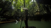 Wisata alam yang dikelola oleh Pokdarwis Mancakup itu menjadi salah satu dari 34 situs warisan geologi yang diusulkan oleh badan pengelola Geopark Meratus ke UNESCO Global Geopark (UGG).