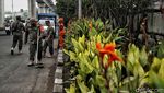 Jelang Tahun Baru, Satpol PP Razia Ranjau Paku di Pulogadung