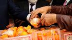 Lebanon Sita Jutaan Narkoba di Dalam Jeruk Palsu