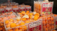 Captagon adalah nama merek untuk fenethylline stimulan jenis amfetamin yang diproduksi sebagian besar di Lebanon dan Suriah.  