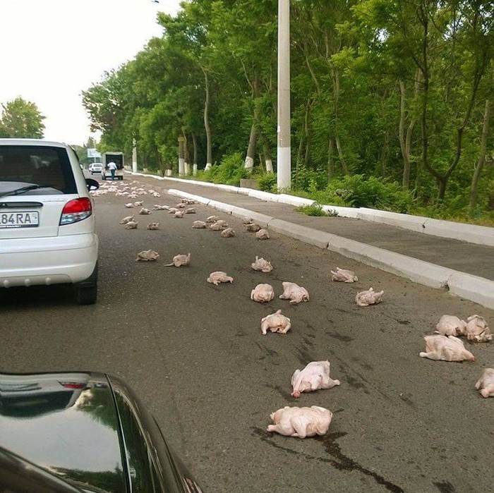pekerjaan gagal pekerjaan gagal