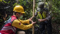 Kamera trap dipasang di kawasan hutan konservasi yang berada di sekitar konsesi mitra pemasok APP Sinar Mas.