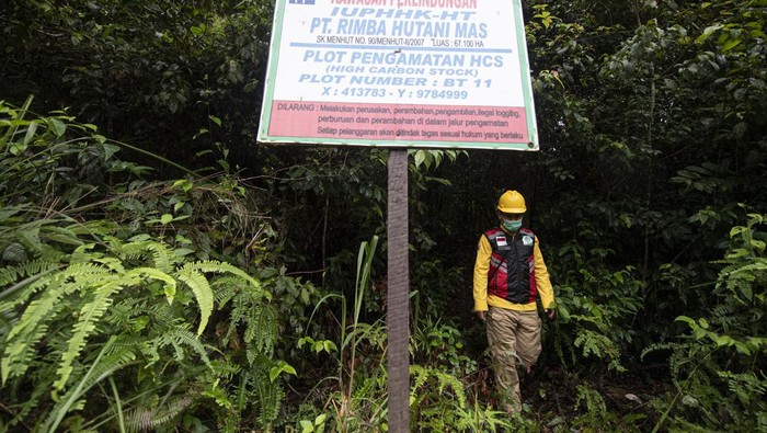 PEMASANGAN KAMERA TRAP DI KAWASAN KONSERVASI MUSI BANYUASIN Petugas dari PT Rimba Hutani Mas (RHM) memasang kamera trap di kawasan hutan konservasi di Kecamatan Bayung Lencir, Musi Banyuasin (Muba), Sumatera Selatan, Rabu (29/12/2021). Pemasangan kamera trap di kawasan hutan konservasi yang berada di sekitar konsesi mitra pemasok APP Sinar Mas tersebut sebagai upaya untuk melindungi dan mengetahui jumlah harimau sumatera (Panthera tigris sumatrae) yang berada di kawasan tersebut. ANTARA FOTO/Nova Wahyudi/foc.