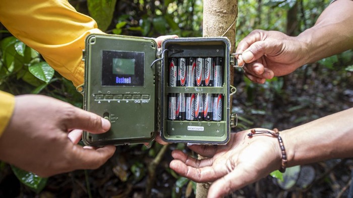 PEMASANGAN KAMERA TRAP DI KAWASAN KONSERVASI MUSI BANYUASIN Petugas dari PT Rimba Hutani Mas (RHM) memasang kamera trap di kawasan hutan konservasi di Kecamatan Bayung Lencir, Musi Banyuasin (Muba), Sumatera Selatan, Rabu (29/12/2021). Pemasangan kamera trap di kawasan hutan konservasi yang berada di sekitar konsesi mitra pemasok APP Sinar Mas tersebut sebagai upaya untuk melindungi dan mengetahui jumlah harimau sumatera (Panthera tigris sumatrae) yang berada di kawasan tersebut. ANTARA FOTO/Nova Wahyudi/foc.
