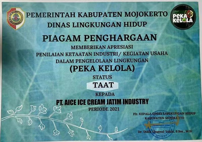 Penghargaan AICE