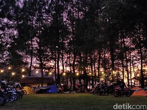 Liburan Akhir Tahun? Coba Kemping di Hutan Pinus Bogor