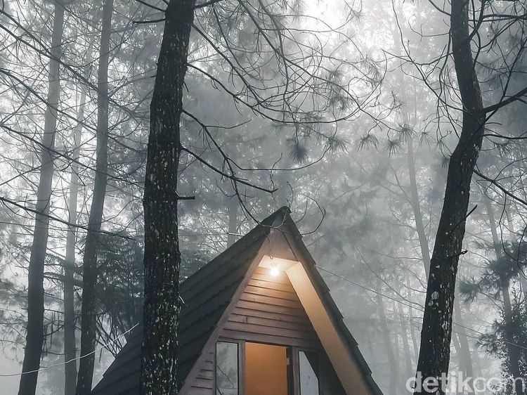 Kemping Instagrammable? Perkemahan Paseban Tempatnya