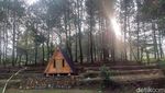 Kemping Instagrammable? Perkemahan Paseban Tempatnya