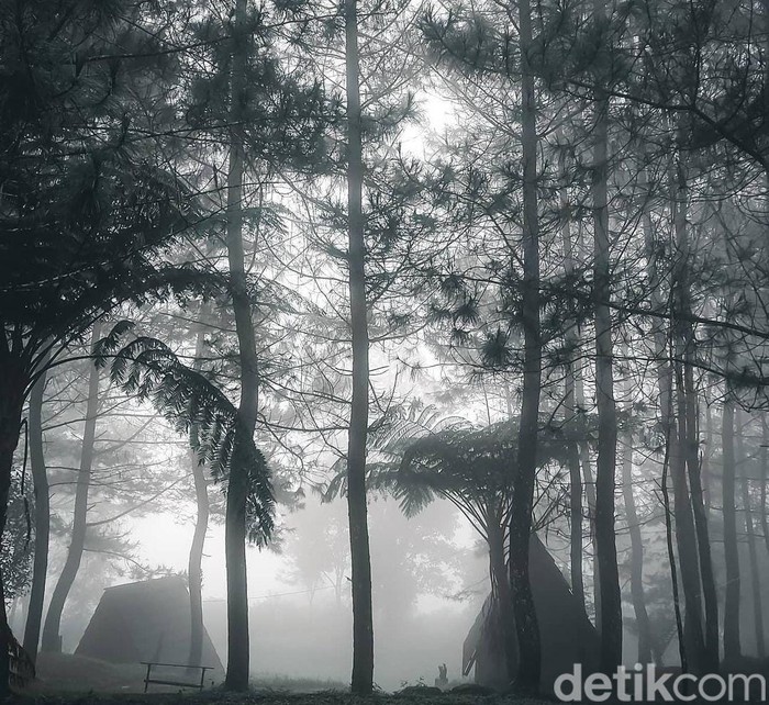 Perkemahan Desa Paseban
