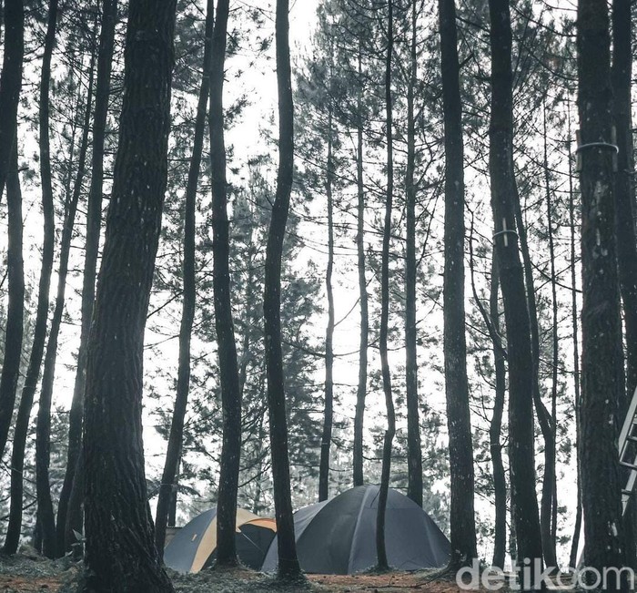 Perkemahan Desa Paseban