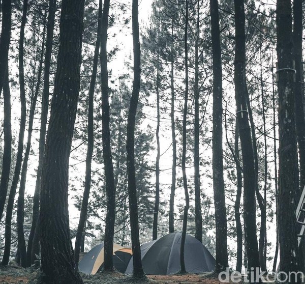 Inilah Geger Paseban Camping Ground perkemahan di Desa Paseban Kabupaten Bogor, Jawa Barat. (Luthfi Hafidz/detikcom)