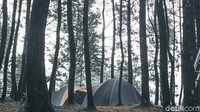 Inilah Geger Paseban Camping Ground perkemahan di Desa Paseban Kabupaten Bogor, Jawa Barat. (Luthfi Hafidz/detikcom)