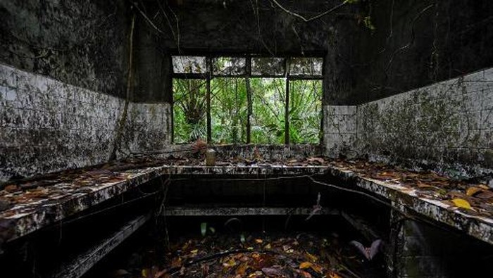 Pulau Gorgona, Alcatraz-nya Kolombia Calon 'Rumah' Politisi Korup Pemandangan udara dari sisa-sisa penjara di Pulau Gorgona, di Samudra Pasifik, di barat daya Kolombia, diambil pada 1 Desember 2021. - Penjara Gorgona, yang terletak di Pulau Gorgona, termasuk dalam daftar penjara seram seperti Alcatraz di Amerika Serikat atau Pulau Robben di Afrika Selatan. Hari ini, satu-satunya yang tersisa, adalah dinding yang dimakan oleh hutan dan kelembaban dan beberapa orang yang mengunjungi tempat itu terutama turis yang tiba di pulau itu untuk menyelam dan menikmati Taman Nasional Gorgona. (Foto oleh Luis ROBAYO / AFP)
