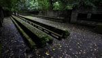 Pulau Gorgona, Alcatraz-nya Kolombia Tempat Pembuangan Politisi Korup