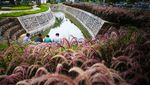 Secuil Perwujudan Kota Ramah Lingkungan di Taman Bio Trans Jakpus