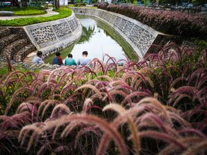 Secuil Perwujudan Kota Ramah Lingkungan di Taman Bio Trans Jakpus
