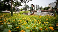 Taman Bio Trans tersebut sebagai bentuk upaya Pemprov DKI untuk mewujudkan kota ramah lingkungan yang berfungsi menjadi taman terbuka.