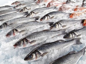 7 Cara Gampang Memilih Ikan hingga Daging Sapi yang Segar