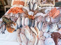 Viral Wisatawan Diminta Bayar 2 Kali Saat Beli Ikan di Pantai Ngrenehan