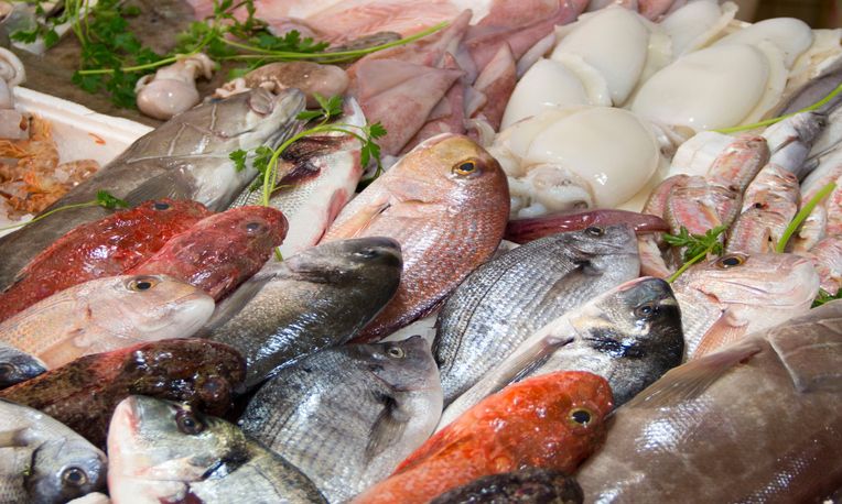 5 Pasar Tempat Belanja Seafood untuk Pesta BBQ Tahun Baru