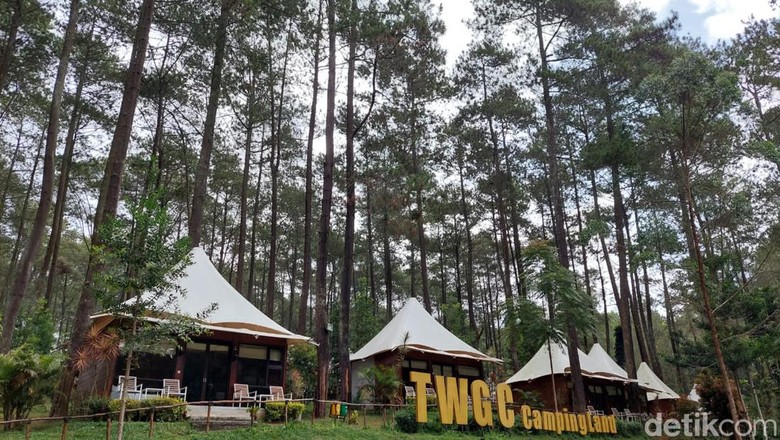 Terminal Wisata Grafika Cikole (TWGC) Lembang. Terminal Wisata Grafika Cikole (TWGC) Lembang.