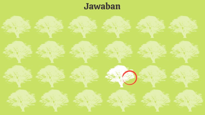 asah otak detikHealth