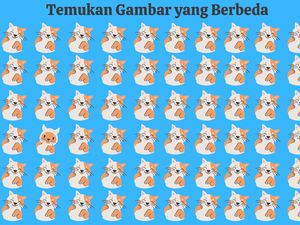 Jelang Tutup Tahun Biasanya Nggak Fokus, Bisa Temukan Gambar yang Beda?