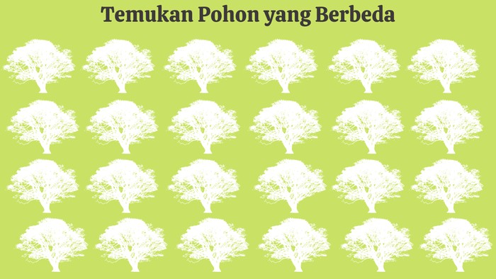 asah otak asah otak detikHealth