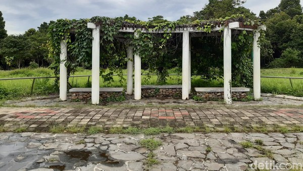 Berbeda dengan Kebun Raya Bogor, di Kebun Raya Cibinong tumbuh-tumbuhan dikelompokkan berdasarkan pulau-pulau besar yang terletak di Indonesia. Saat ini ada Pulau Jawa, Bali, Sumatera, Kalimantan, Sulawesi, Maluku, Nusa Tenggara, dan Papua. (Luthfi Hafidz/detikTravel) Berbeda dengan Kebun Raya Bogor, di Kebun Raya Cibinong tumbuh-tumbuhan dikelompokkan berdasarkan pulau-pulau besar yang terletak di Indonesia. Saat ini ada Pulau Jawa, Bali, Sumatera, Kalimantan, Sulawesi, Maluku, Nusa Tenggara, dan Papua. (Luthfi Hafidz/detikTravel)