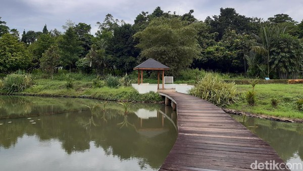 Salah satu spot foto yang sudah lama terkenal di Kebun Raya Cibinong adalah Danau Dora. Danau ini luasnya 23 hektar. Disebut Danau Dora karena bentuk lintasannya yang menyerupai tokoh kartun anak-anak Dora The Explorer. (Luthfi Hafidz/detikTravel)