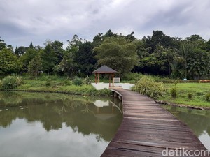 Tak Hanya Ada Kebun Raya Bogor, Kini Hadir Kebun Raya Cibinong
