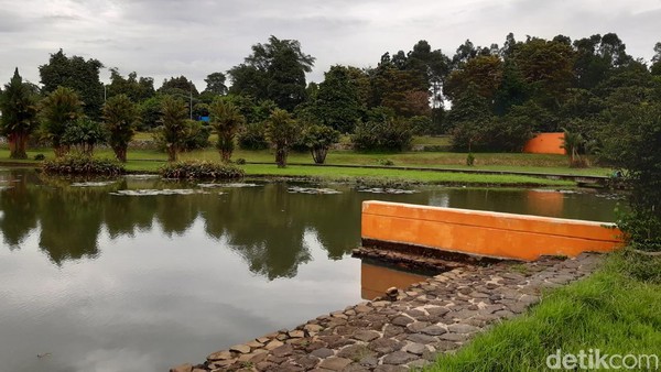 Sedangkan di Kebun Raya Bogor, tumbuh-tumbuhan ditata berdasarkan familinya. Kebun Raya Cibinong adalah salah satu dari enam kebun raya yang dikelola oleh LIPI (Kebun Raya Bogor, Kebun Raya Bedugul-Bali, Kebun Raya Cibodas, Kebun Raya Purwodadi, dan Puspiptek- Serpong). (Luthfi Hafidz/detikTravel)