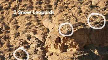 Ini dia posisinya. Foto: Ismail Shariff