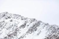 Foto Snow Leopard