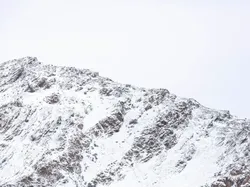 Cari Posisi Snow Leopard di Foto Ini, Yakin Bisa?