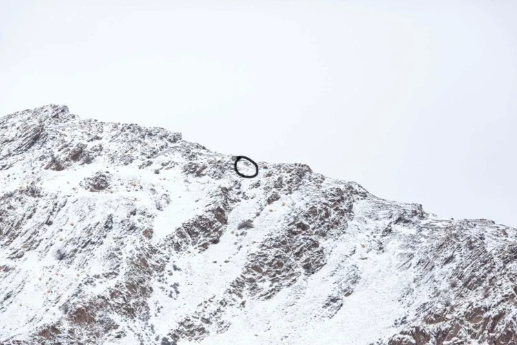 Foto Snow Leopard