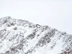 Cari Posisi Snow Leopard di Foto Ini, Yakin Bisa?