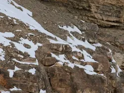 Cari Posisi Snow Leopard di Foto Ini, Yakin Bisa?