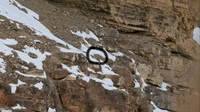Foto Snow Leopard