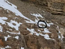 Cari Posisi Snow Leopard di Foto Ini, Yakin Bisa?