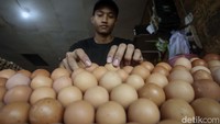 Tingginya harga jual membuat daya beli telur menurun.