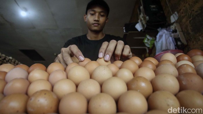 Harga Telur Melambung, Omset Agen Menurun Harga telur meroket di akhir tahun 2021. Hal ini membuat daya mebli menurun dan mengkoreksi mendapatan para agen telur.