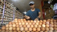 Biasanya dalam sehari agen telur disini mampu menjual hingga 2 truk atau sebanyak 6 ton telur.
