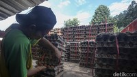 Menteri Perdagangan (Mendag) Muhamad Lutfi meyakini kenaikan harga telur ayam akan segera turun. Di mana kenaikan harga karena menipisnya stok yang digunakan untuk bantuan sosial.